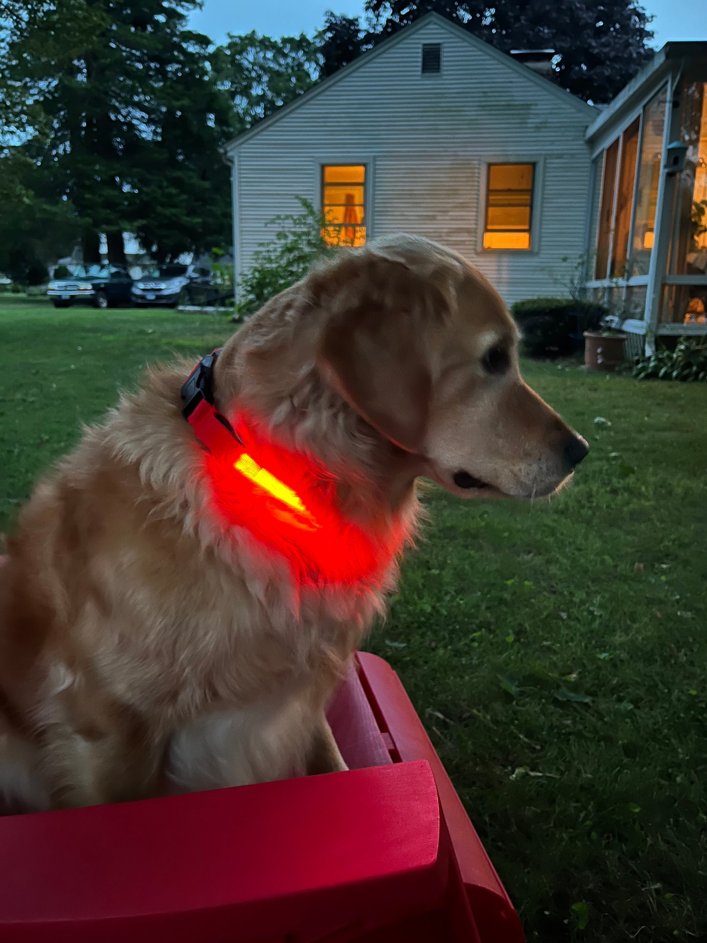 Light up pet collars with AirTag holder by Lumipawz