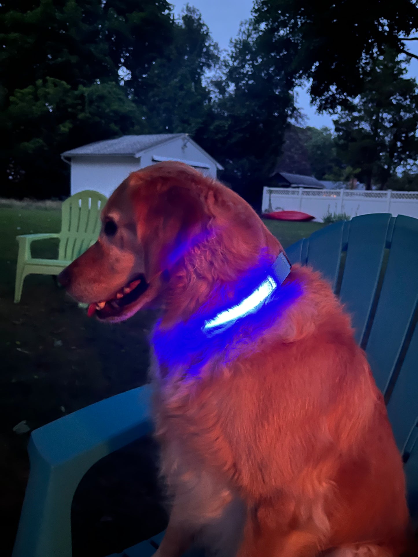 Light up pet collars with AirTag holder by Lumipawz